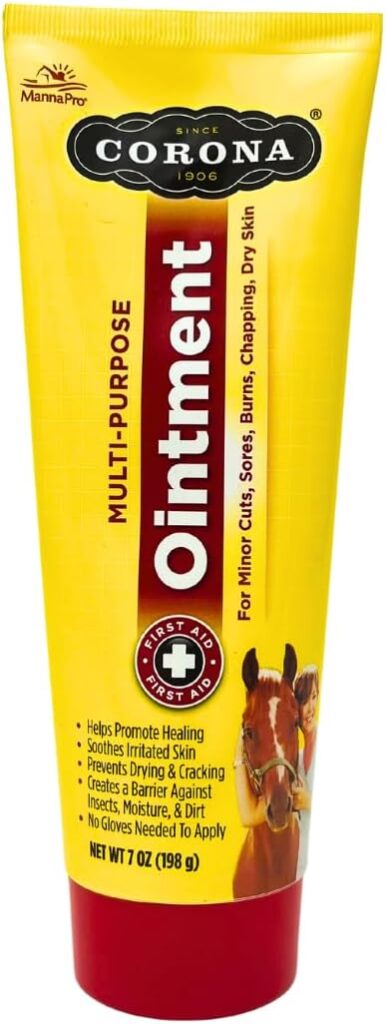 Corona horse first aid