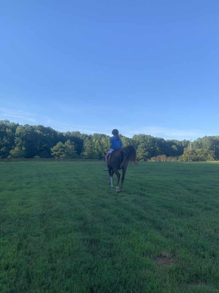 horse dream 