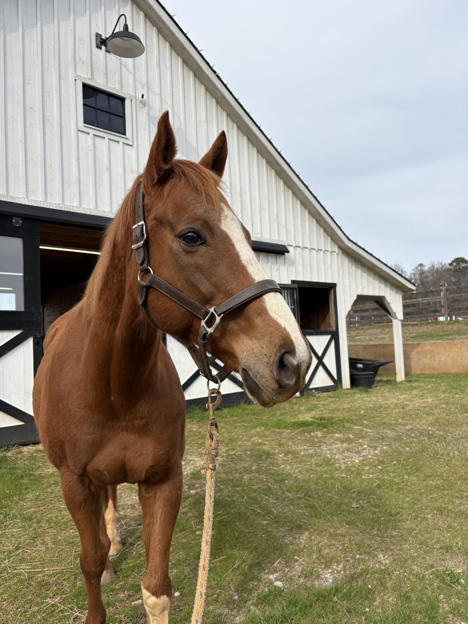 barn routine