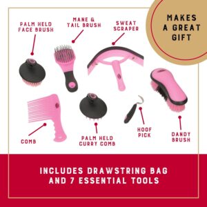horse grooming kit